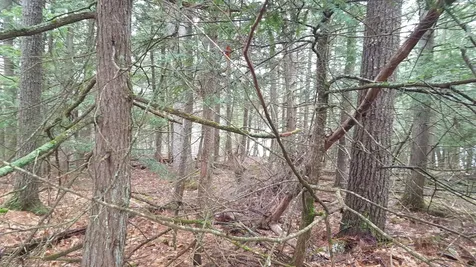 53 Johnson Road Windham ME 04062