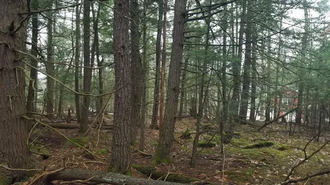 53 Johnson Road Windham ME 04062
