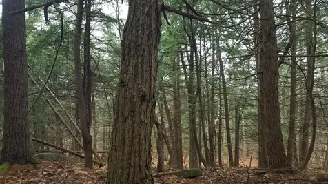 53 Johnson Road Windham ME 04062