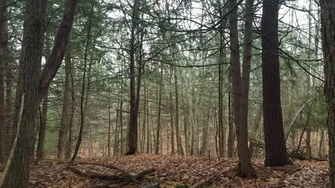 53 Johnson Road Windham ME 04062