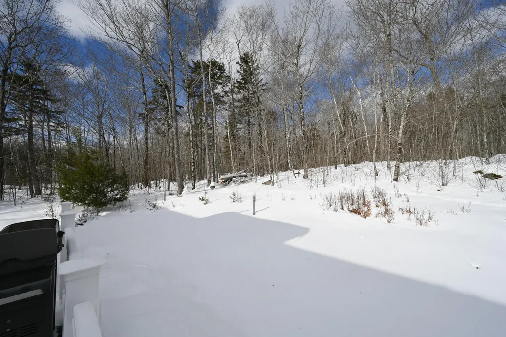 358 Peakes Hill Road Dedham ME 04429