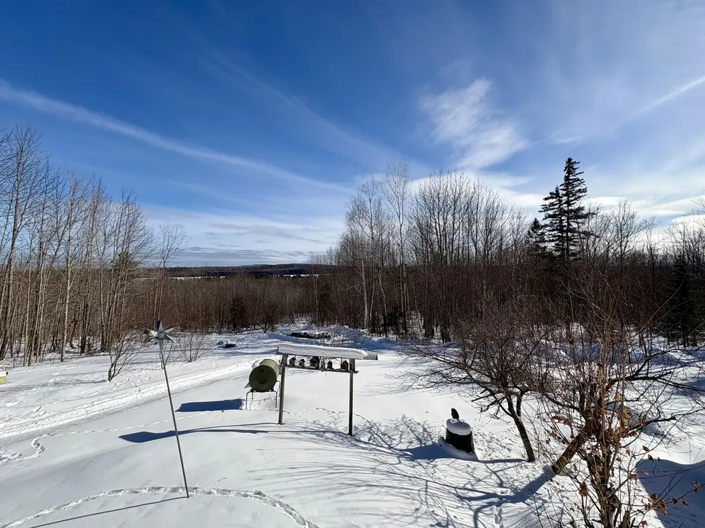 32 Nagle Lane Weston ME 04471