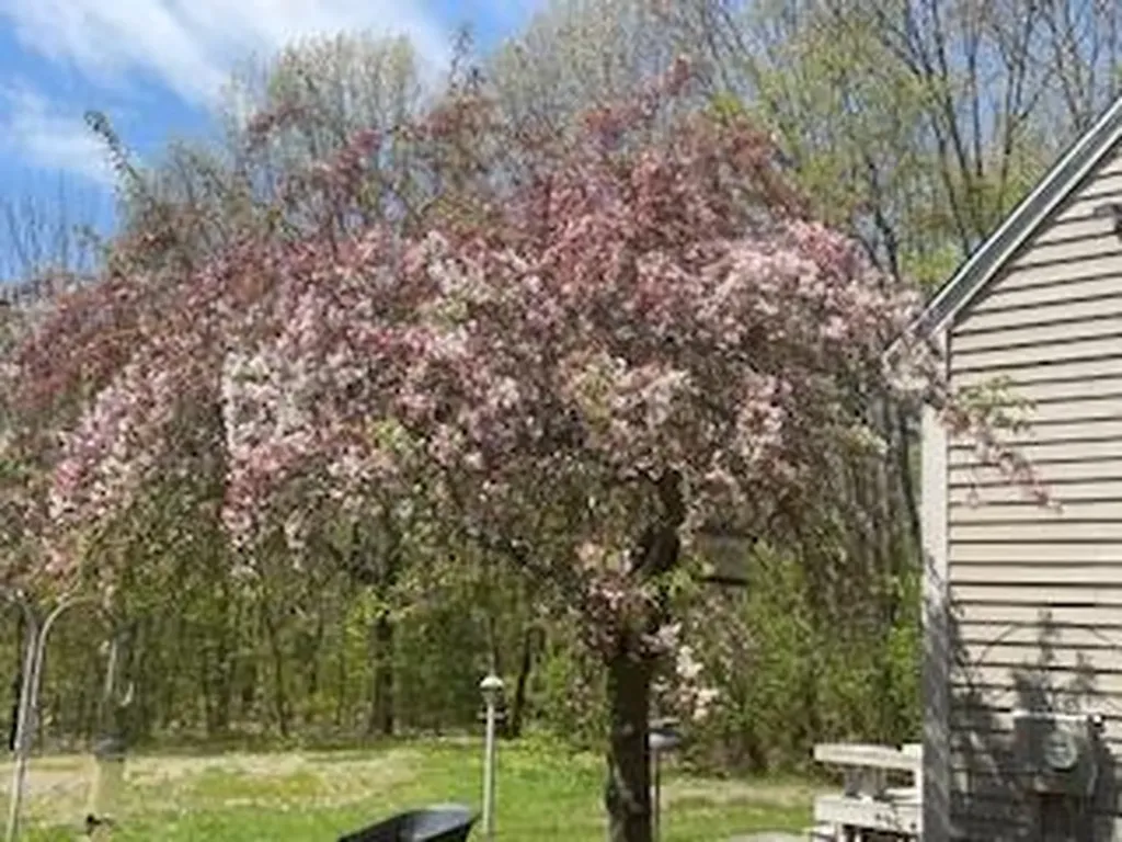 21 Windy Way Waterboro ME 04087
