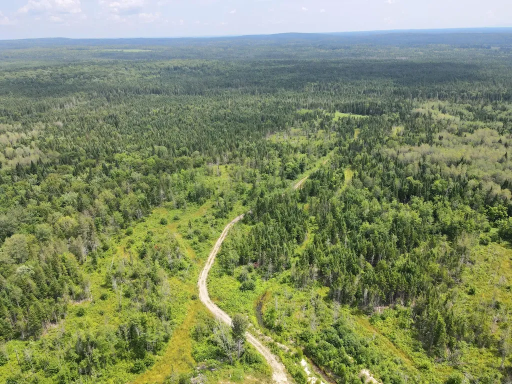 Lot 43.12 Jemptland Road Connor Twp ME 04736