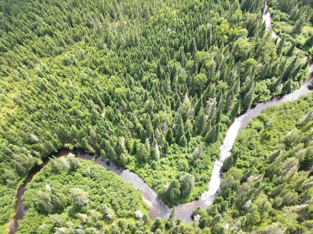 Lot 43.12 Jemptland Road Connor Twp ME 04736