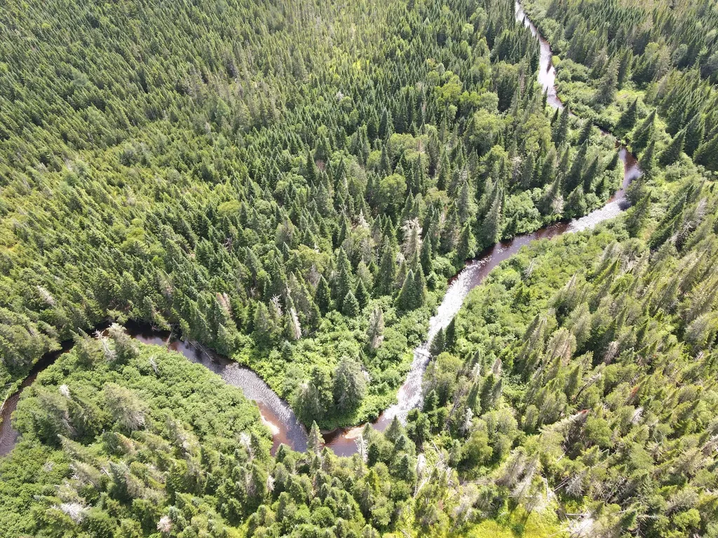 Lot 43.12 Jemptland Road Connor Twp ME 04736