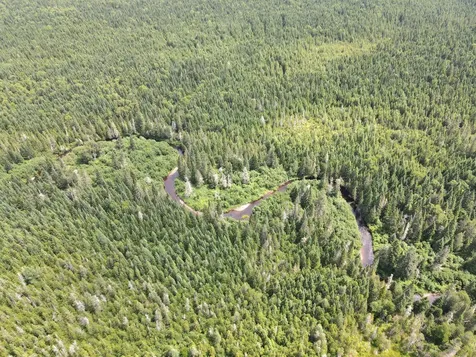 Lot 43.12 Jemptland Road Connor Twp ME 04736