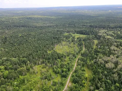 Lot 43.12 Jemptland Road Connor Twp ME 04736
