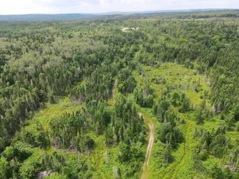 Lot 43.12 Jemptland Road Connor Twp ME 04736