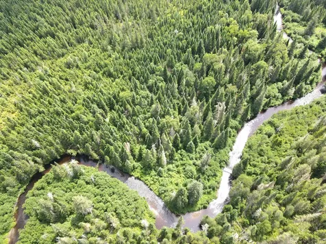 Lot 43.12 Jemptland Road Connor Twp ME 04736