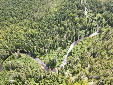 Lot 43.12 Jemptland Road Connor Twp ME 04736