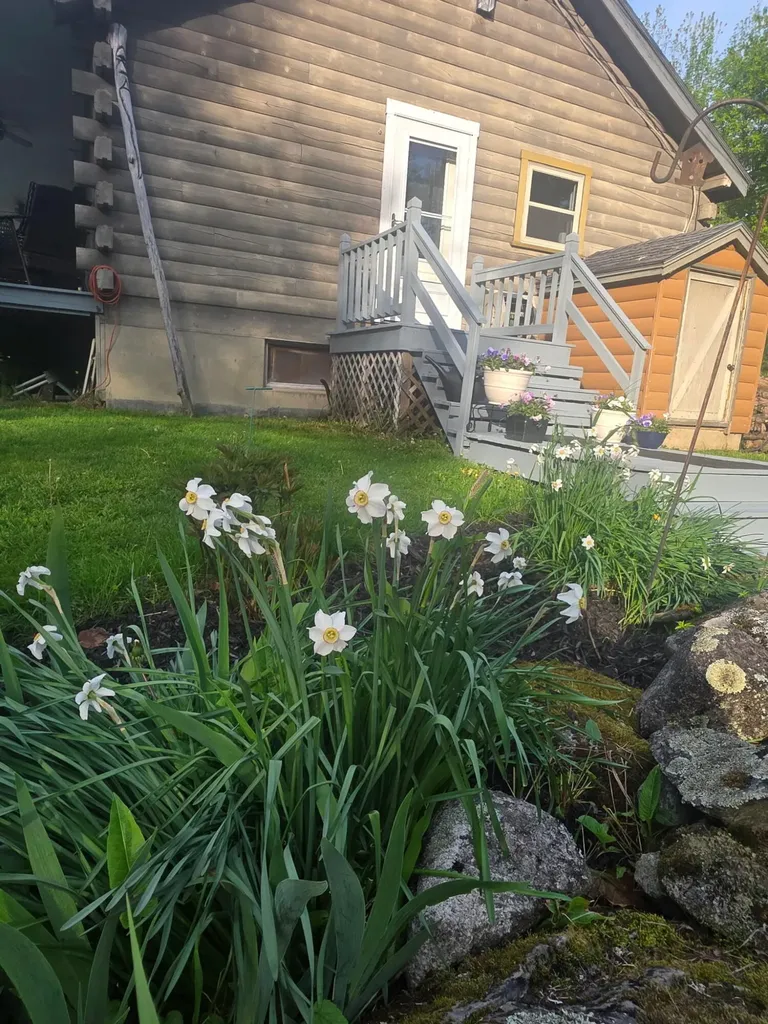 12 Irish Lane Winterport ME 04496
