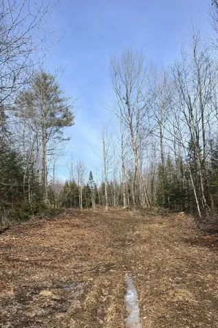 Lot 10 Albion Road Freedom ME 04941
