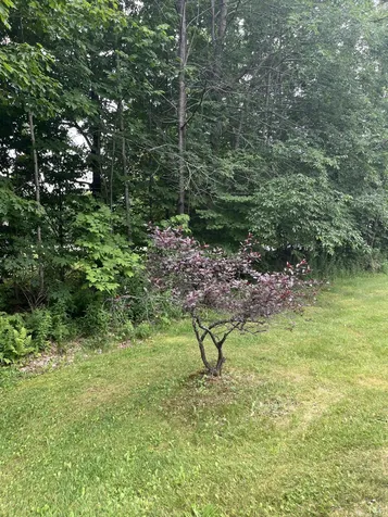 41 Crescent Street Skowhegan ME 04976