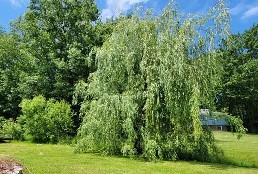 5 Cardinal Lane Windham ME 04062