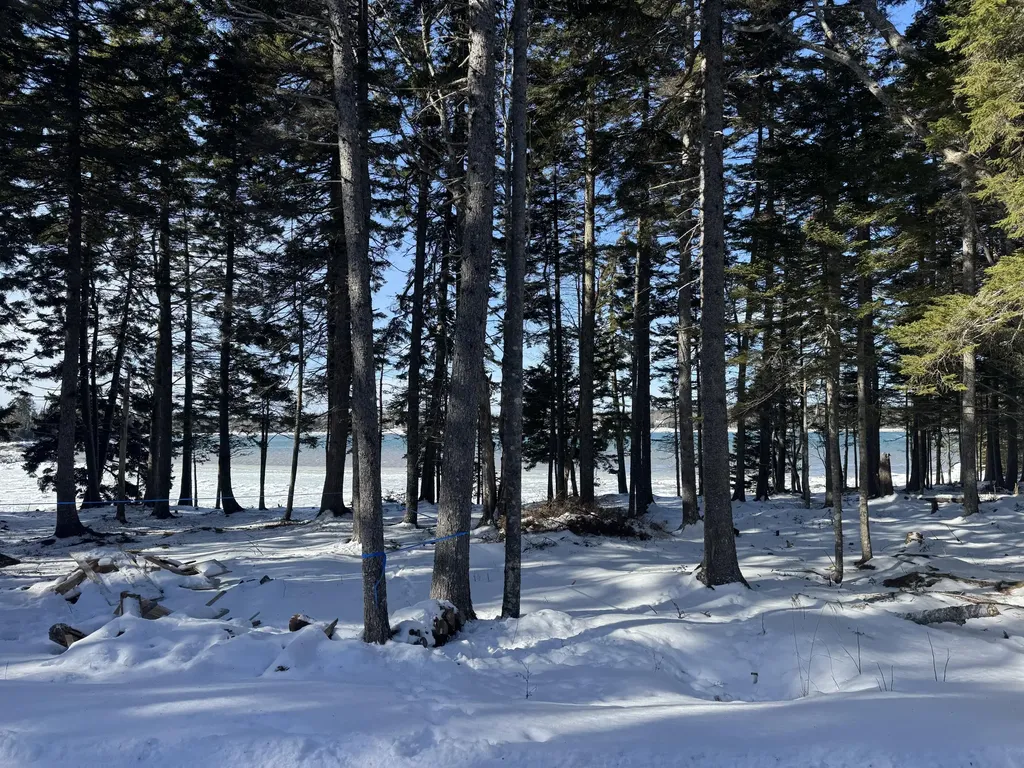 Lot B Fort Williams Road Harrington ME 04643
