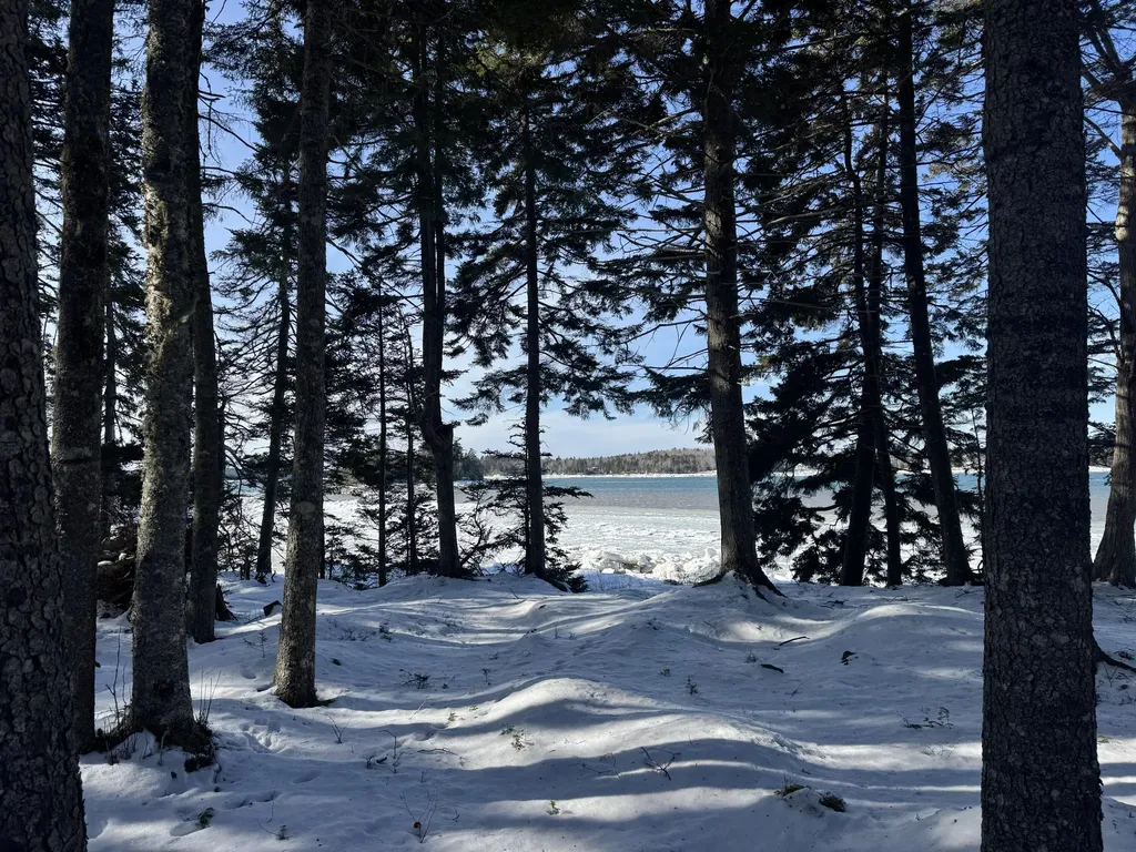 Lot B Fort Williams Road Harrington ME 04643