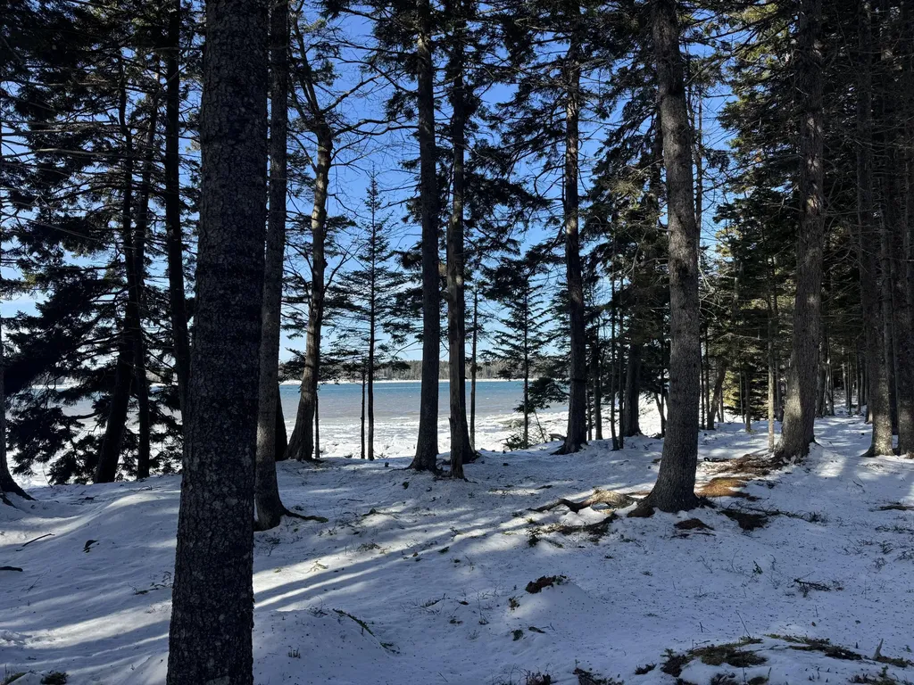 Lot B Fort Williams Road Harrington ME 04643