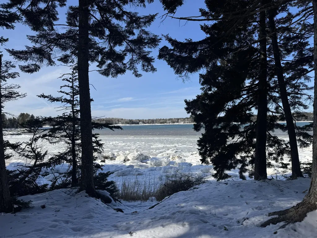 Lot B Fort Williams Road Harrington ME 04643