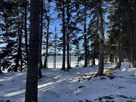Lot B Fort Williams Road Harrington ME 04643