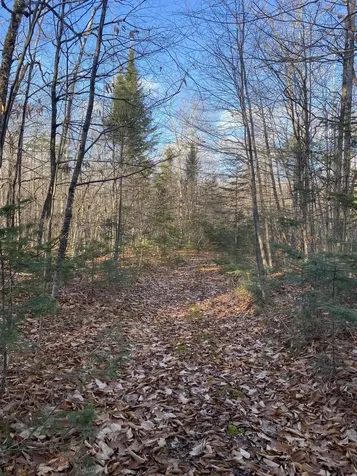 Lot 023 Pleasant Ridge Road Dexter ME 04930