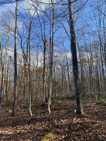 Lot 023 Pleasant Ridge Road Dexter ME 04930