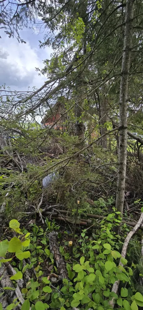 116 Clark Brook Road Wallagrass ME 04781
