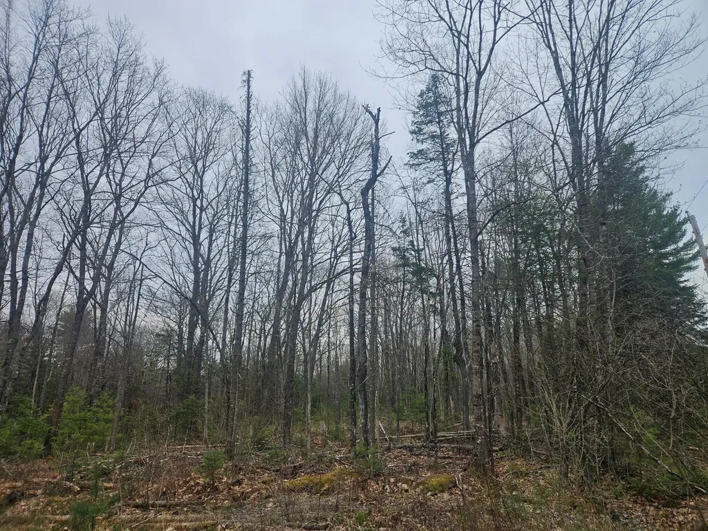Lot 14-2,3 Perkins Road Burnham ME 04922