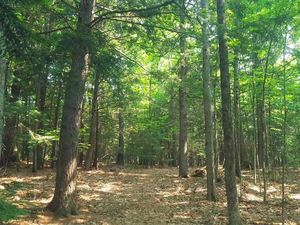 594 River Road Windham ME 04062