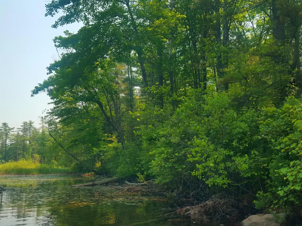 594 River Road Windham ME 04062