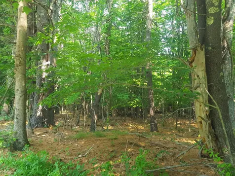594 River Road Windham ME 04062