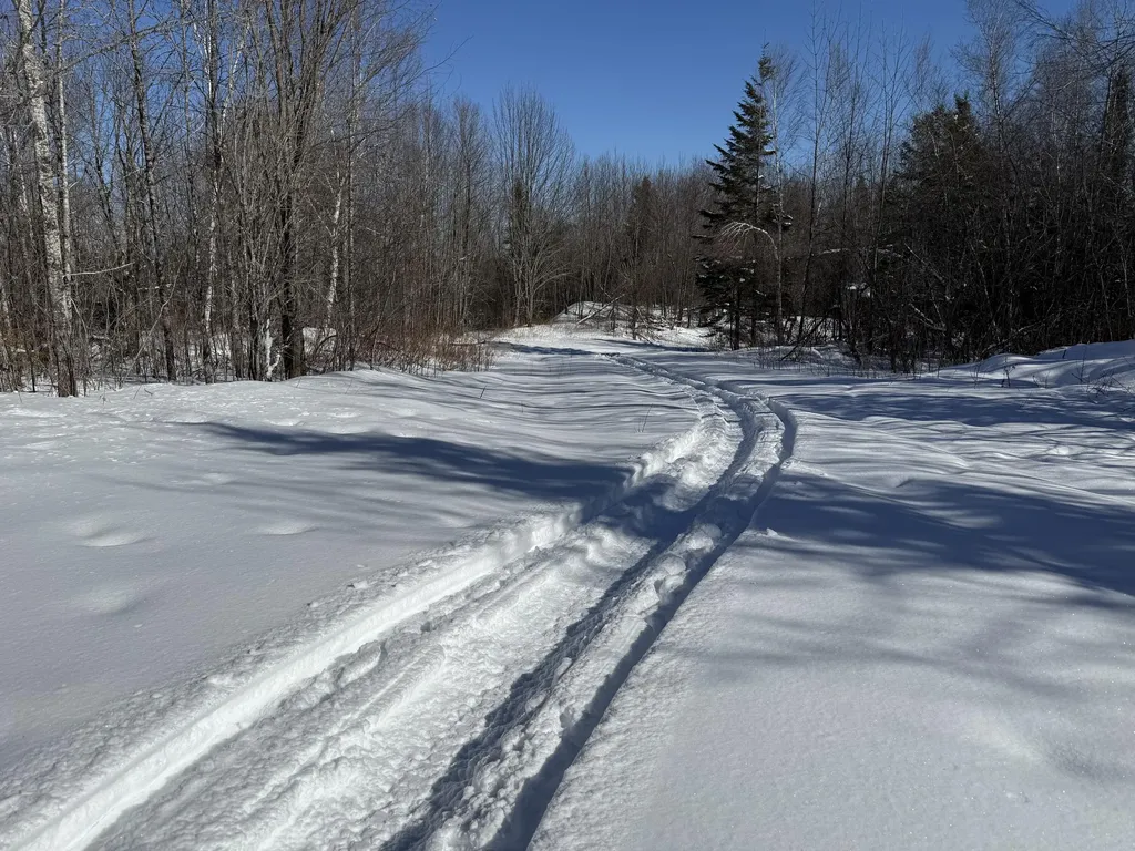 0 Baskahegan Road Bancroft ME 04497