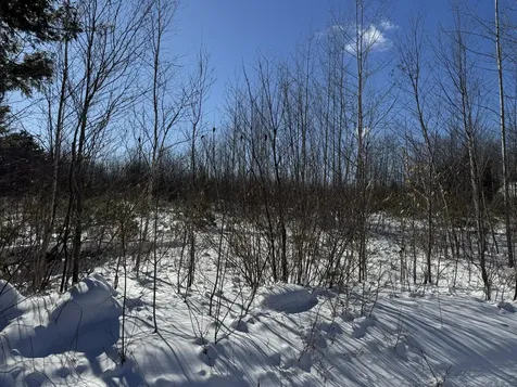Lot 29-3 Seaward Mills Road Vassalboro ME 04989