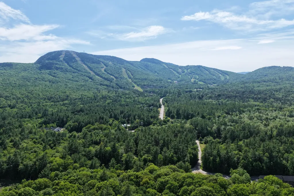 11 Lodgepole Lane Newry ME 04261