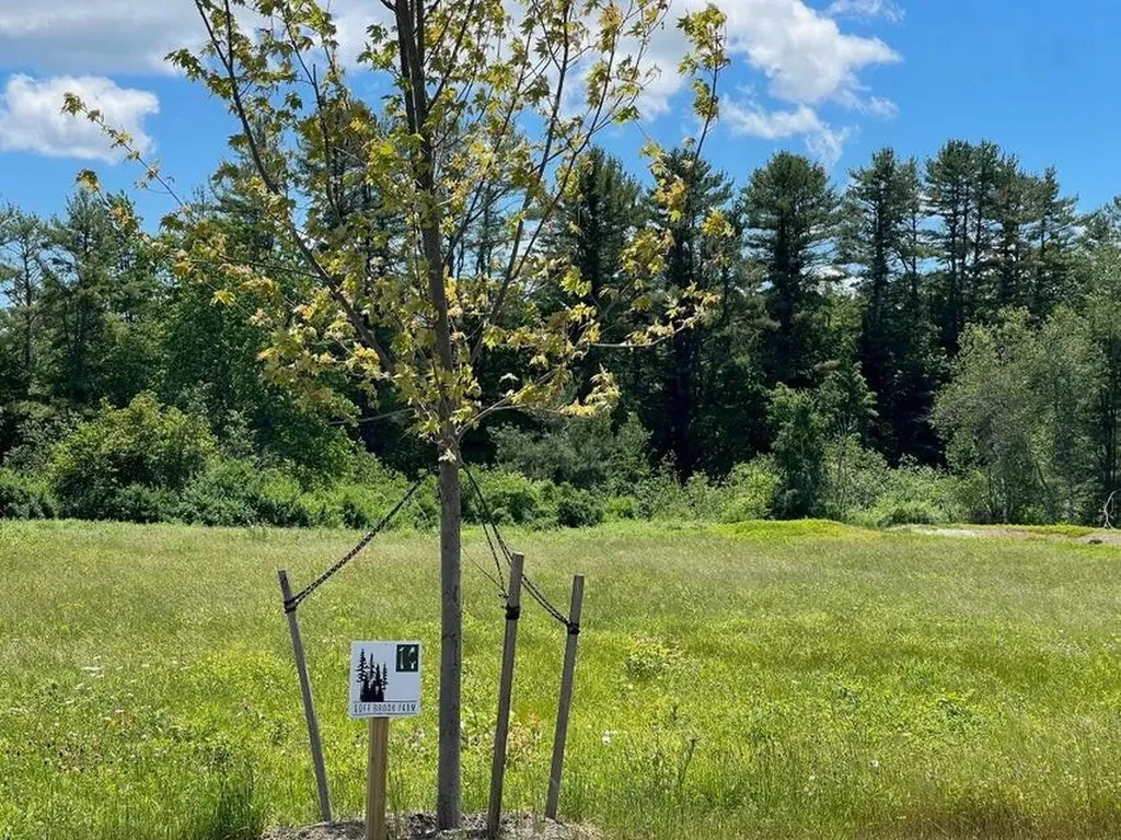Lot 13 Forest Drive Arundel ME 04046