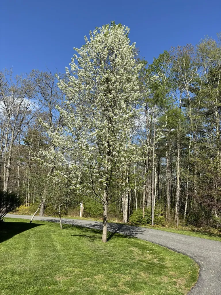 26 Old Nutt Farm Road Rockport ME 04856