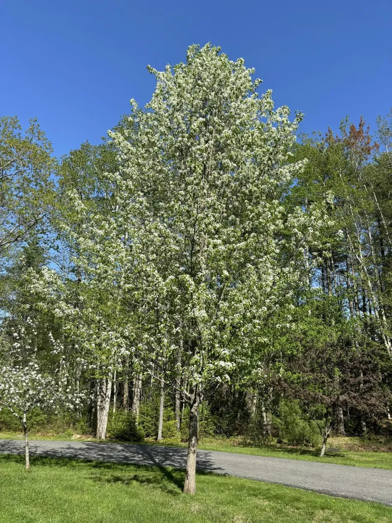 26 Old Nutt Farm Road Rockport ME 04856