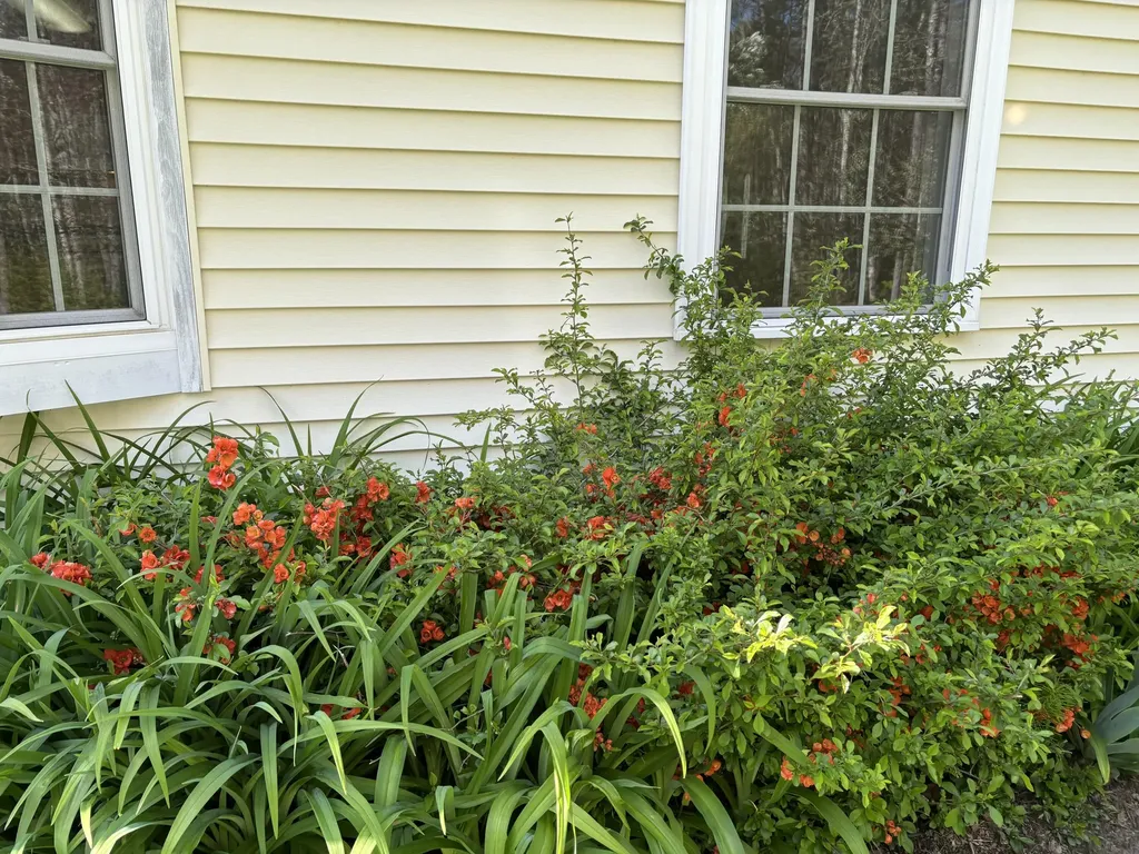 26 Old Nutt Farm Road Rockport ME 04856
