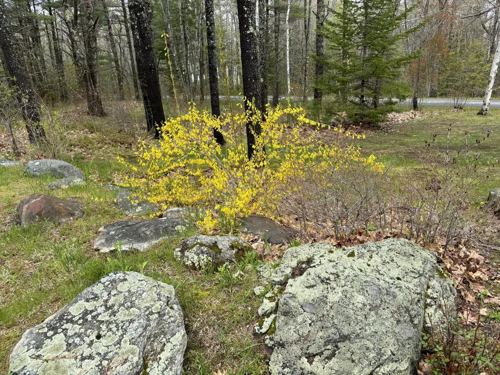 26 Old Nutt Farm Road Rockport ME 04856