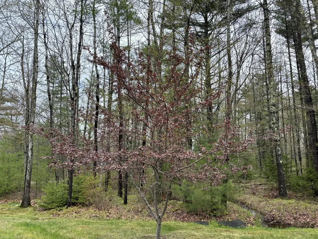 26 Old Nutt Farm Road Rockport ME 04856