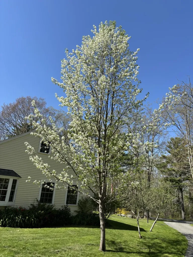 26 Old Nutt Farm Road Rockport ME 04856