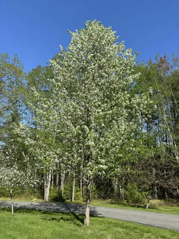 26 Old Nutt Farm Road Rockport ME 04856