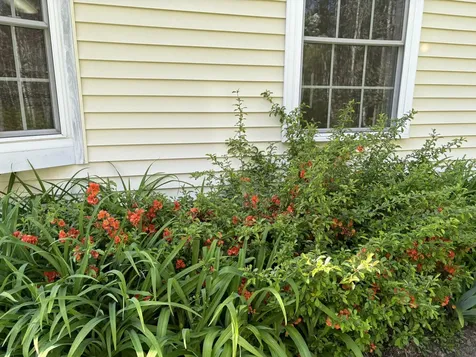 26 Old Nutt Farm Road Rockport ME 04856