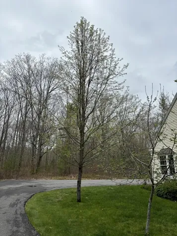 26 Old Nutt Farm Road Rockport ME 04856