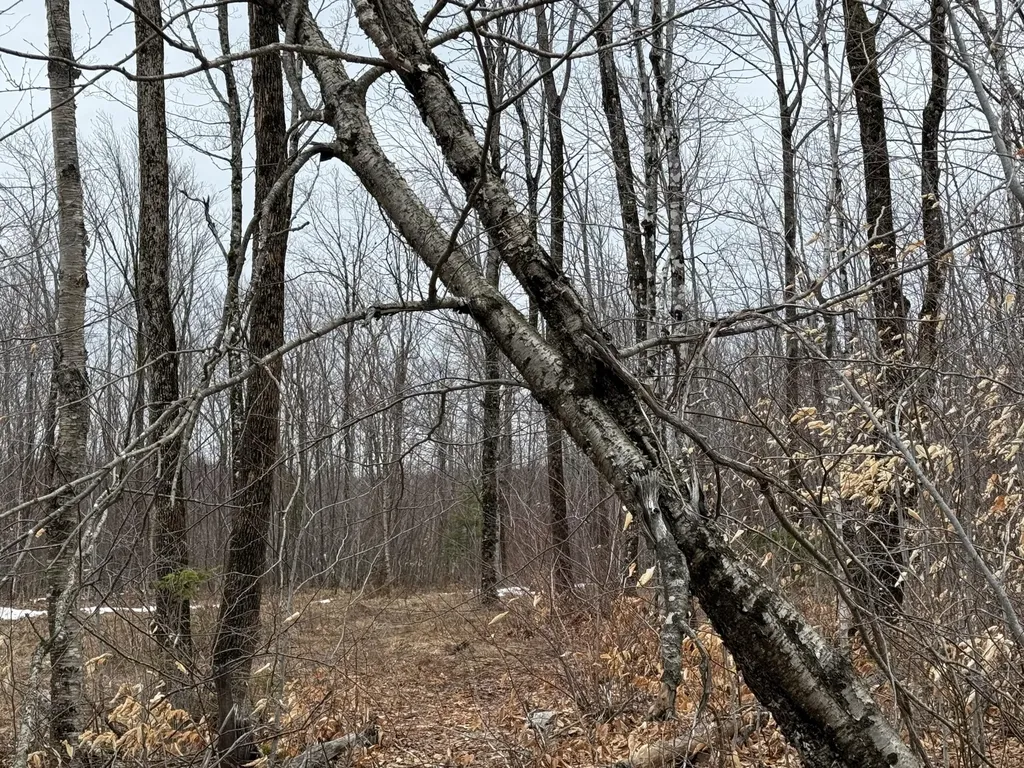 Lot 13w Mountain View Drive Temple ME 04984
