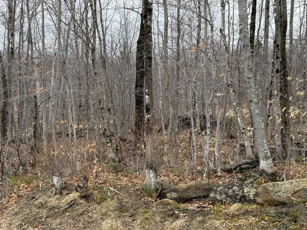 Lot 13w Mountain View Drive Temple ME 04984