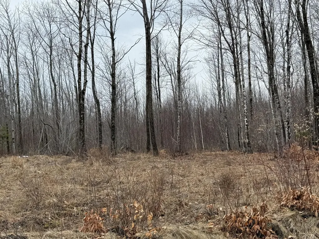 Lot 13w Mountain View Drive Temple ME 04984