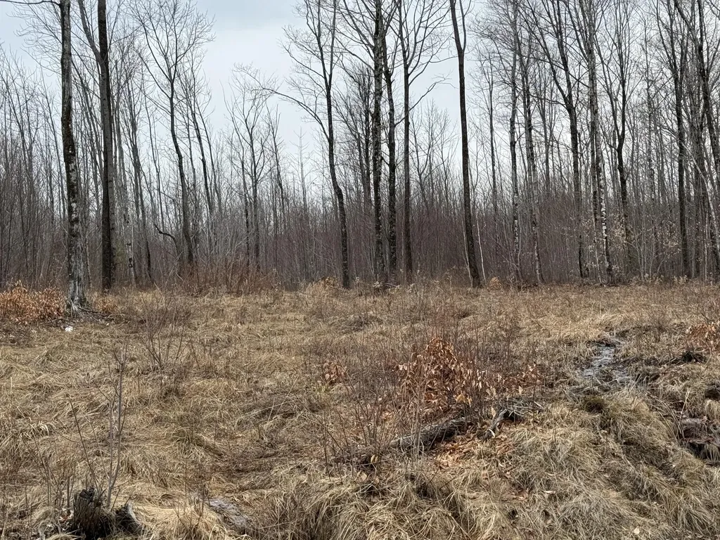 Lot 13w Mountain View Drive Temple ME 04984