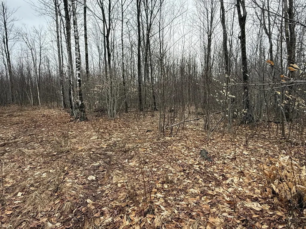 Lot 13w Mountain View Drive Temple ME 04984