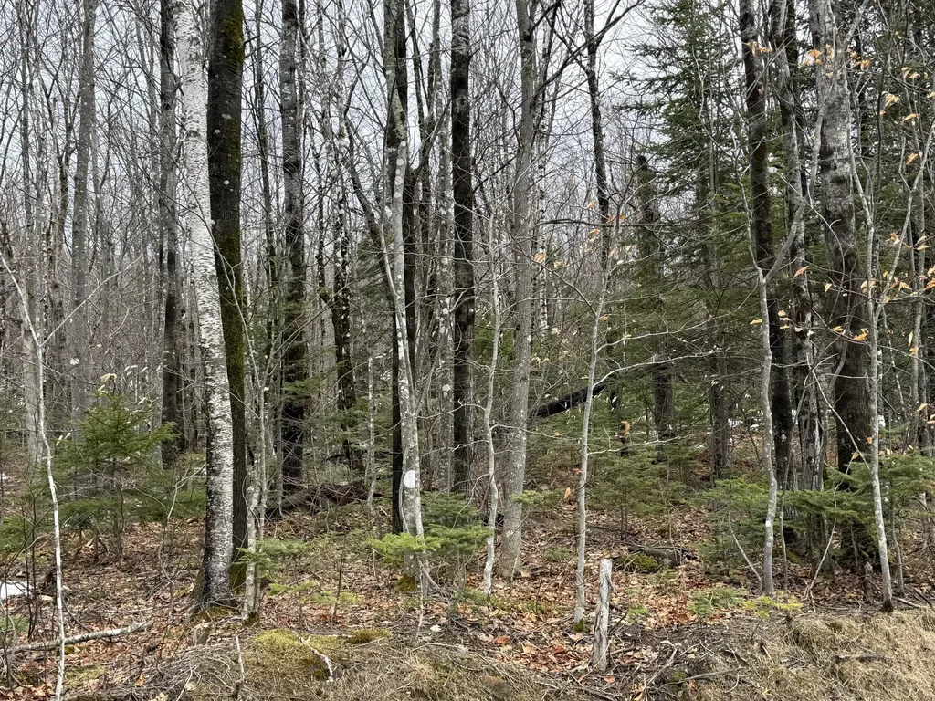 Lot 13w Mountain View Drive Temple ME 04984